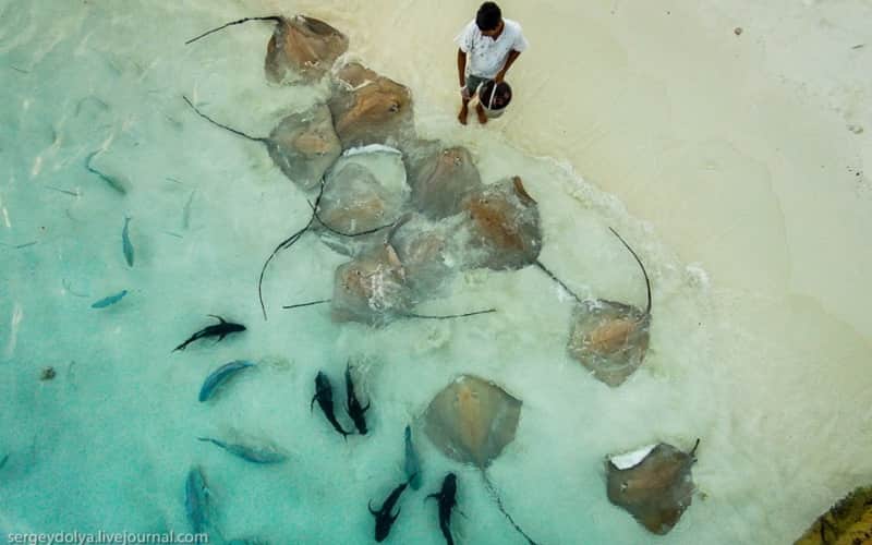 Maldives Exotic Adventures - Thrilling experiences in the Maldives
