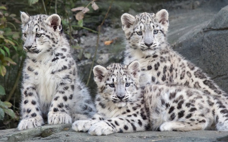 Best Destinations for Your Trip - Explore captivating destinations with our tours